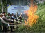 bnn-menemukan-ladang-ganja-di-aceh-utara-seluas-65-hektare-dengan-berat-ganja-basah-69-ton-1762420300457_169_copy_578x304